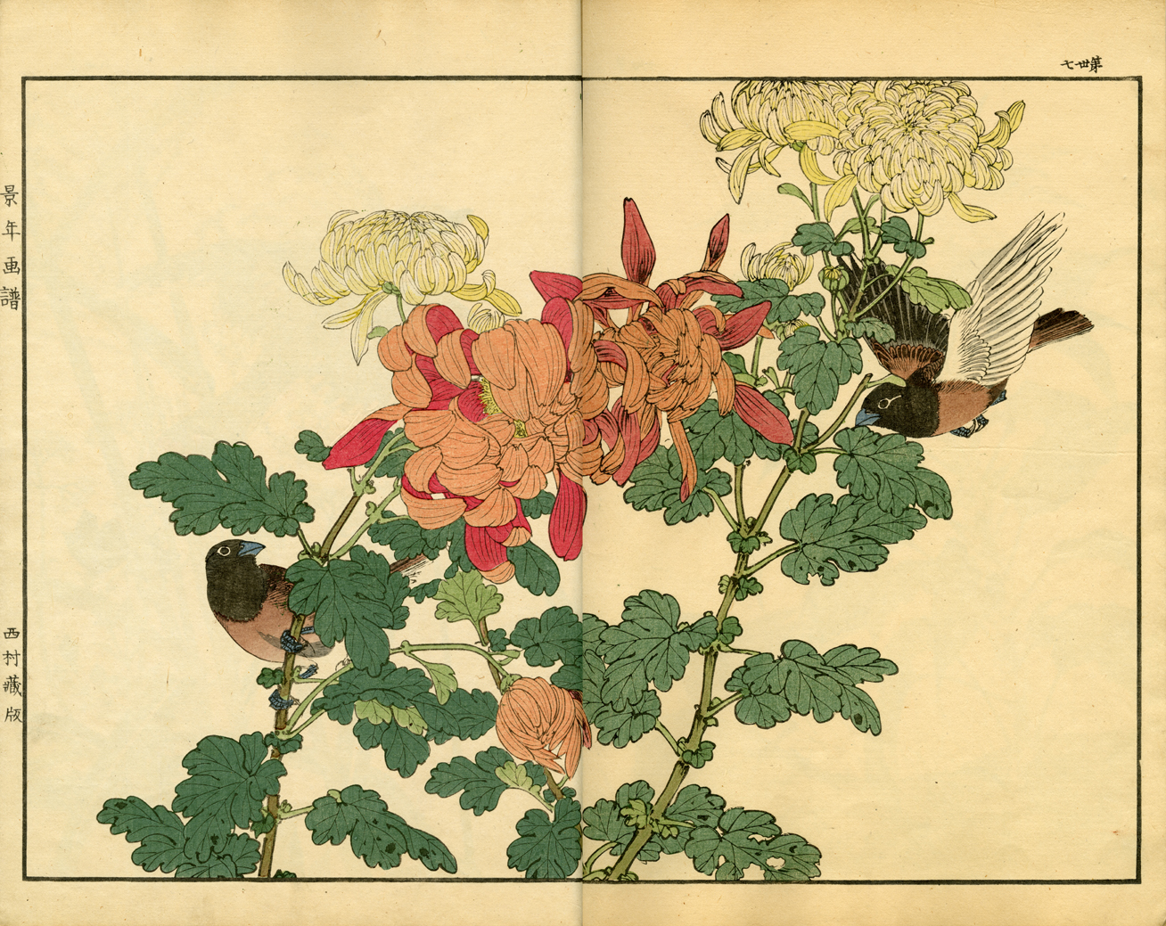 Art Japanese, Imao Chrysanthemum, Botanical Prints, Lotus Design, Art 